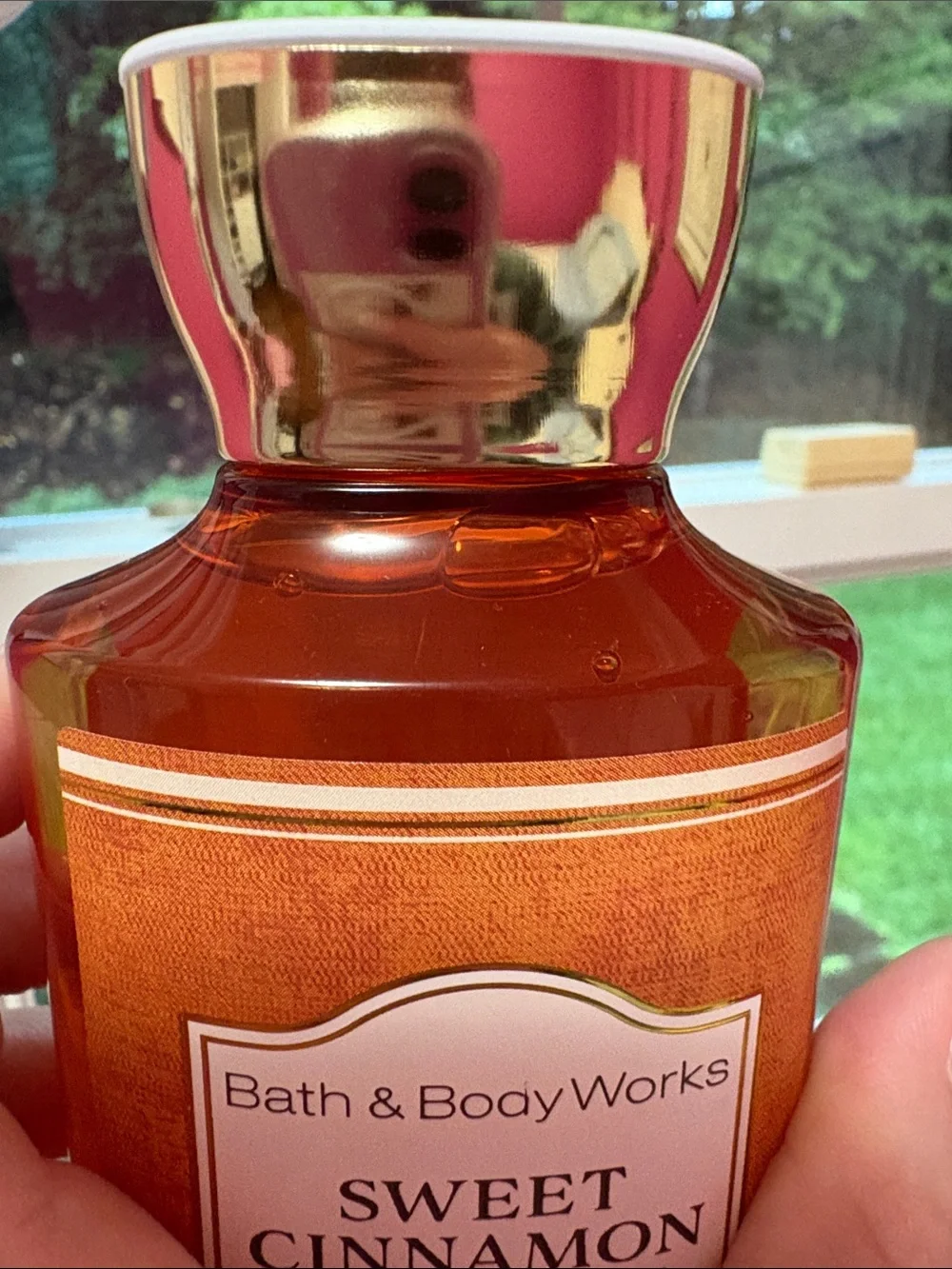 Bath & Body Works Sweet Cinnamon Pumpkin Body Wash NWT